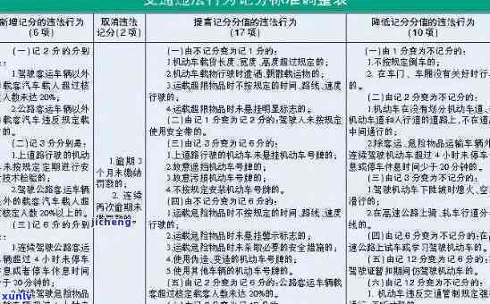 上海交通违规扣分最新规定详解，遵守交通法规的必备步骤指南